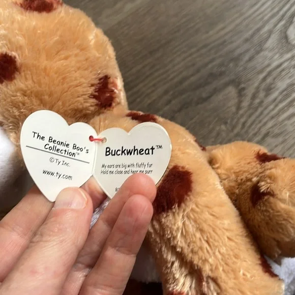 Beanie Boo’s Collection - Buckwheat - Picture 5 of 5